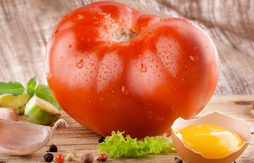 tomate