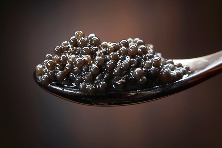 caviar caviar