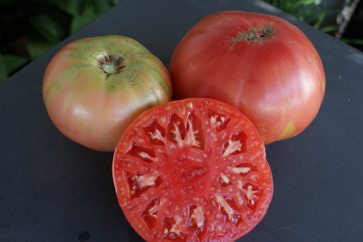 Tomates Huevo de Toro Sabor del Sur 1