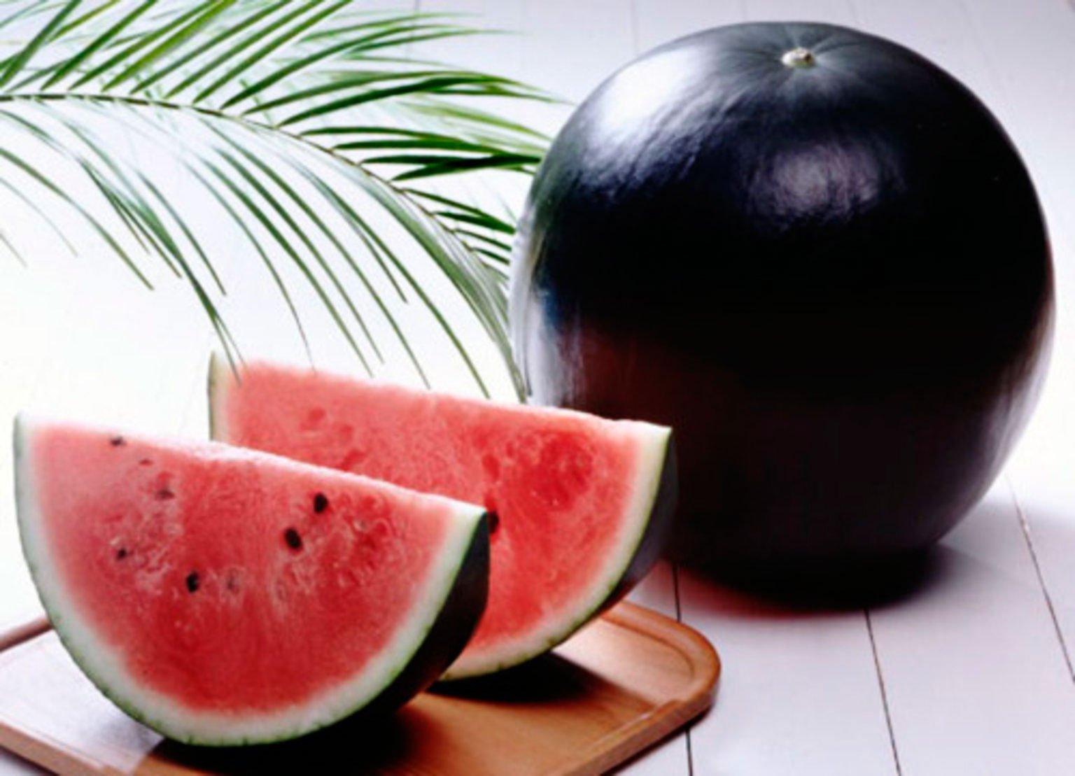 Densuke-Black-la-sandia-mas-exclusiva Densuke-Black-la-sandia-mas-exclusiva