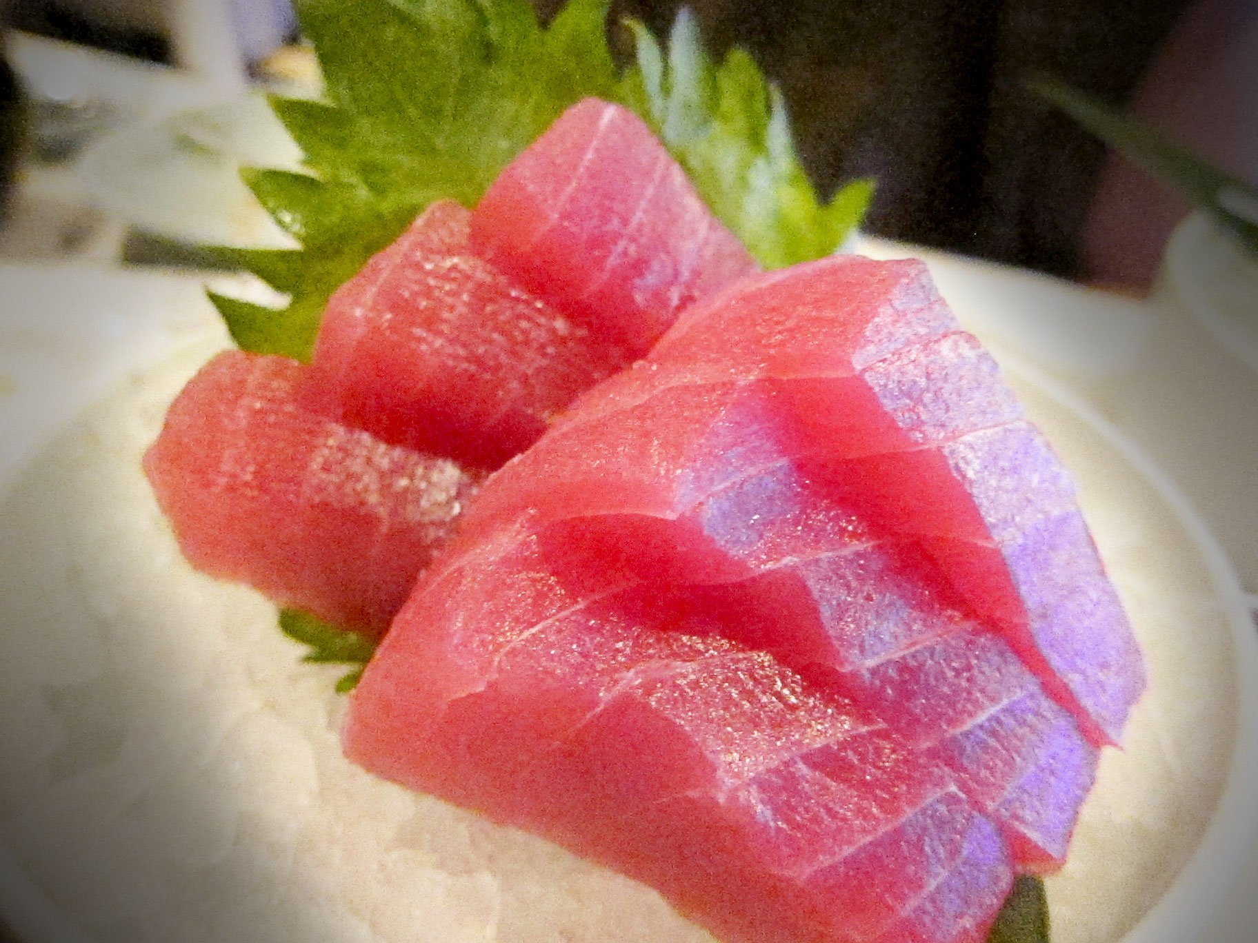 Kuro-Maguro-el-atun-rojo