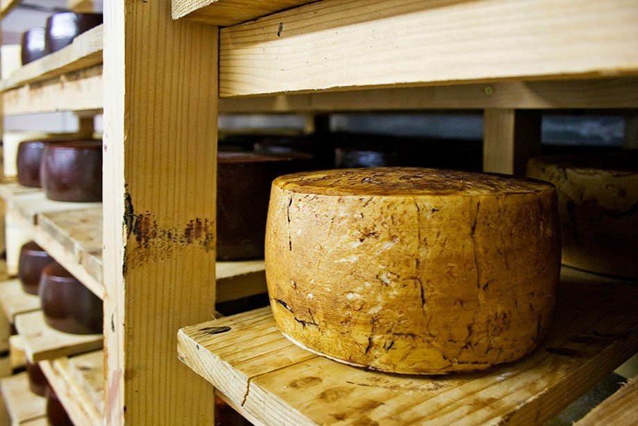 La-mejor-manera-de-conservar-el-queso2