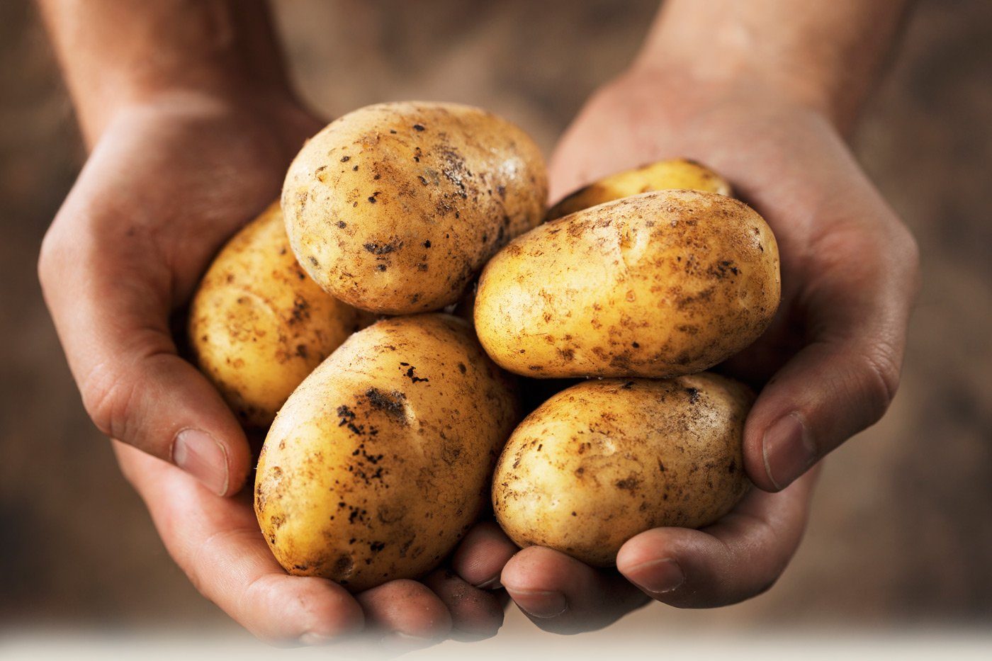 patata