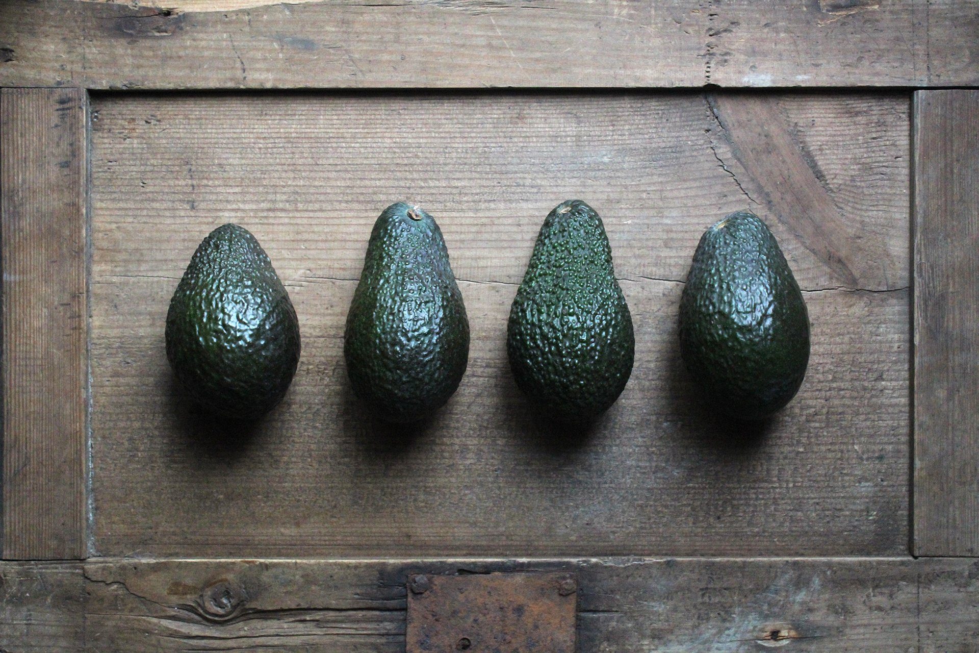 aguacate aguacate